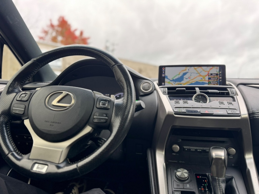 Lexus NX NX 300 2018 — photo 11
