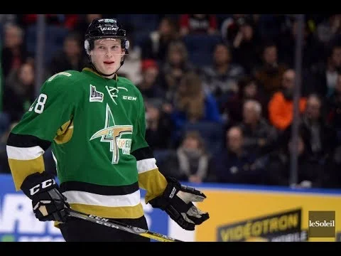 david-noël-un-chemin-jusqu-à-la-echl