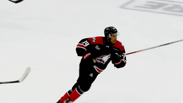 Huskies : L'attaquant Charlie Benigno prend la route de Moncton - TVA  Abitibi-Temiscamingue