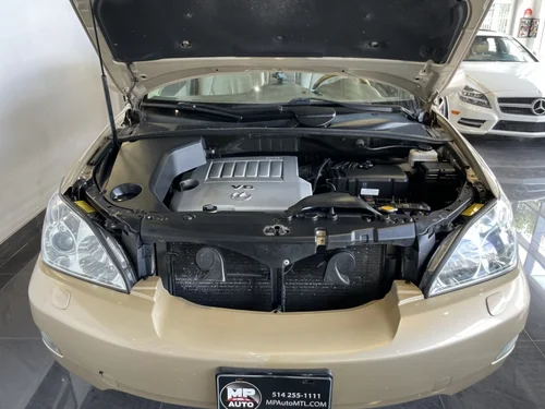 Lexus RX 350  2009 — photo 9