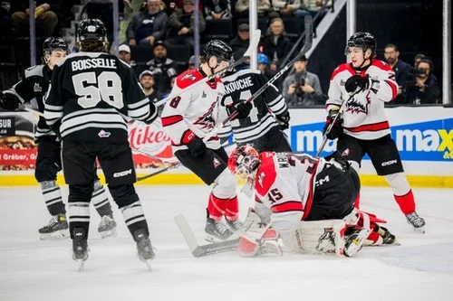 les-huskies-se-brûlent-le-bout-du-museau