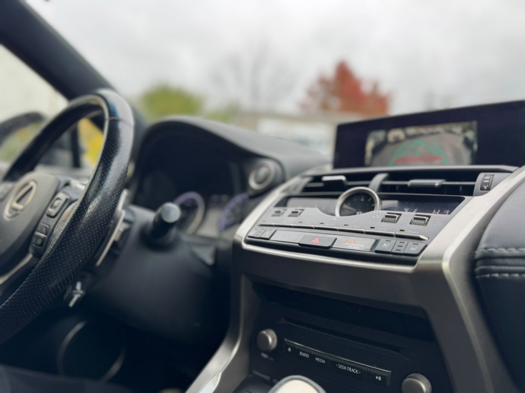 Lexus NX NX 300 2018 — photo 14