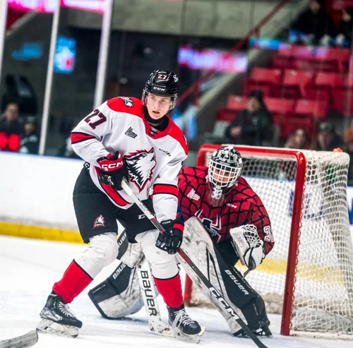 les-vilains-huskies-brisent-la-toile-de-l-armada