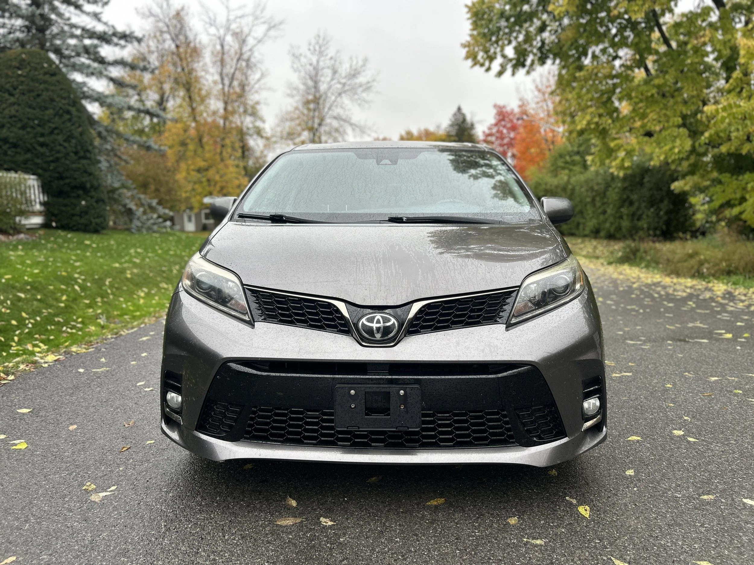 2018 Toyota Sienna SE — photo 2