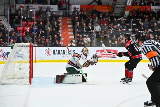 Samuel Beauchemin a maqué 4 buts lors des séries éliminatoires. Un symbole de constance chez la meute depuis quelques mois.