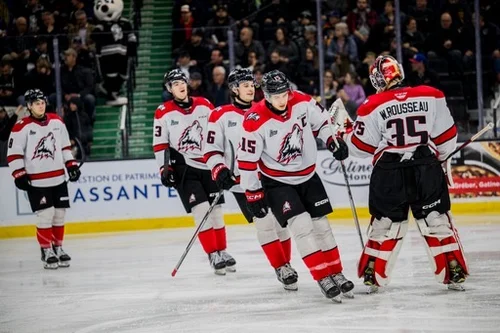 les-huskies-poussent-gatineau-près-du-gouffre