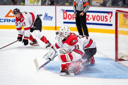 les-huskies-dominent-mais-les-tigres-les-hantent