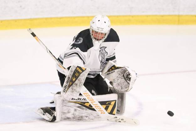 Peut être une image de hockey et texte