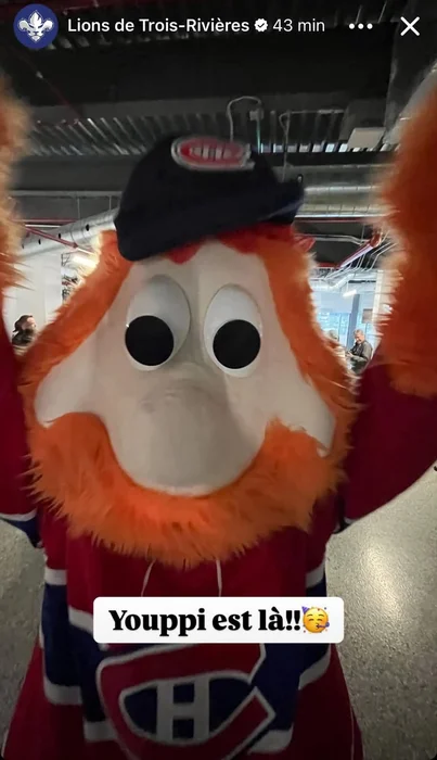Credit: Stephane Thibeault (Facebook: Nos Lions de Trois-Rivières)&nbsp;
