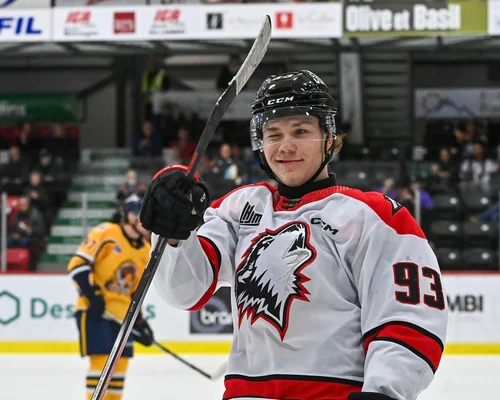 les-huskies-passent-les-cataractes-au-javex