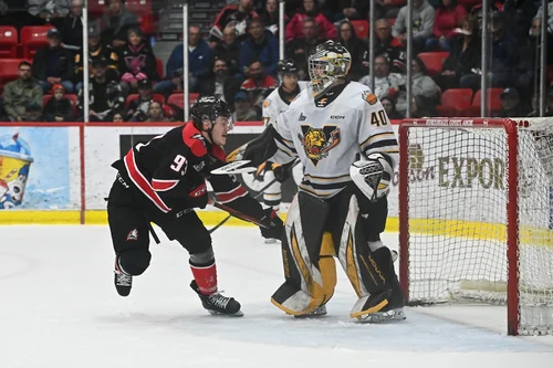 les-tigres-opportunistes-volent-les-2-parties-à-rouyn