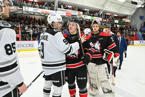 des-huskies-en-feu-éteignent-les-olympiques-pour-de-bon