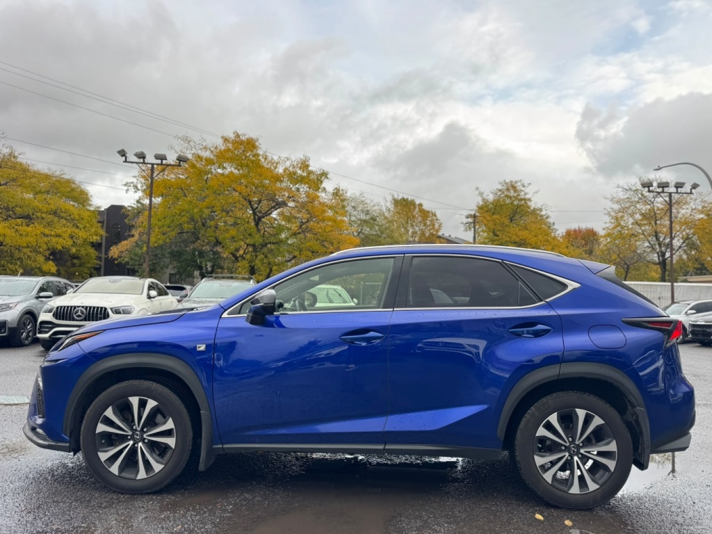 Lexus NX NX 300 2018 — photo 9