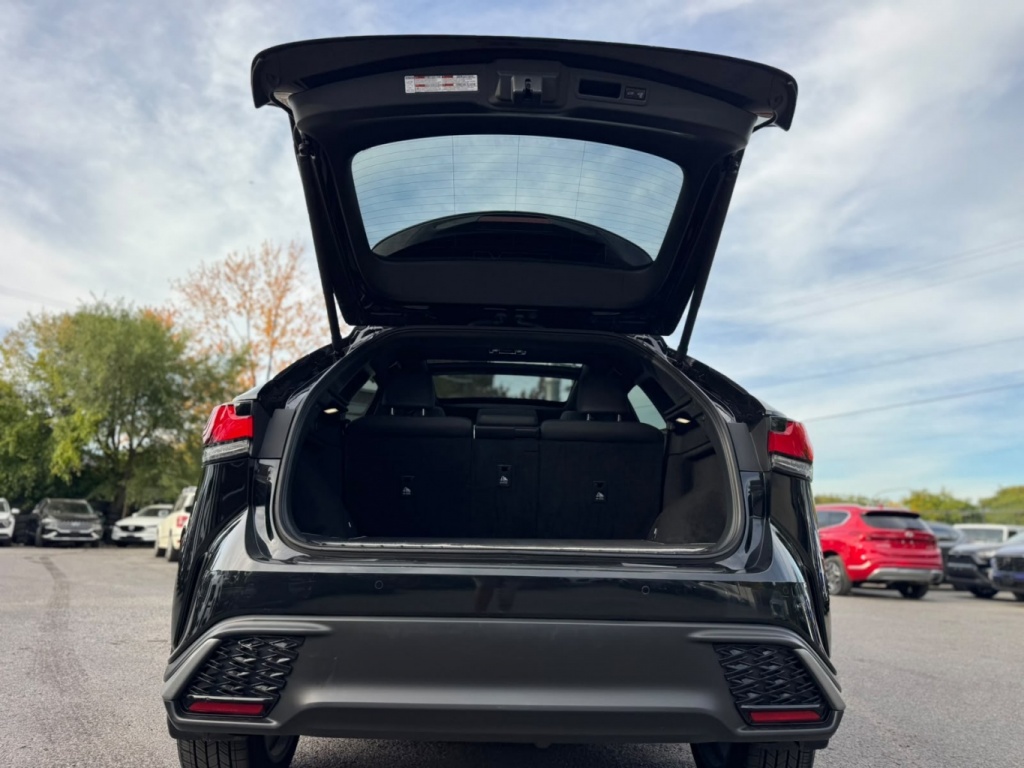 Lexus RX RX 350 2023 — photo 6