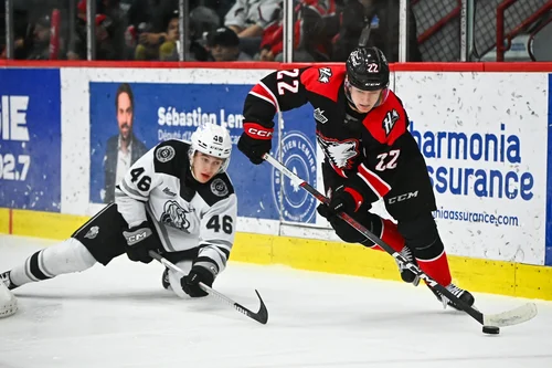 des-huskies-en-feu-éteignent-les-olympiques-pour-de-bon
