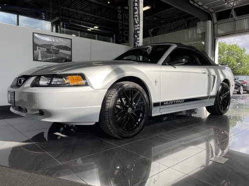 Ford Mustang  2002 — photo 31