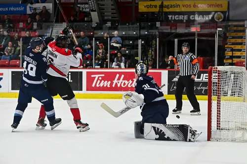 le-phoenix-continue-d-hanter-les-huskies