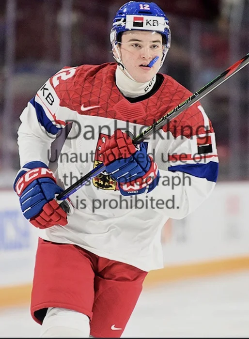 Crédit:Elite prospect&nbsp;